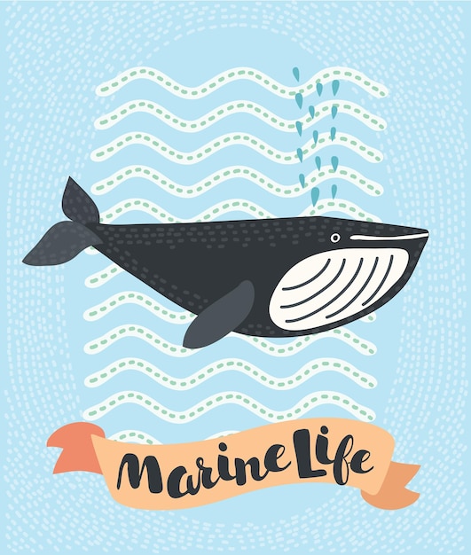 Walvis glimlachend doodle illustratie