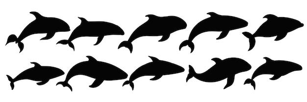 Walvis orka silhouetten instellen groot pak vector silhouet ontwerp geïsoleerde witte achtergrond