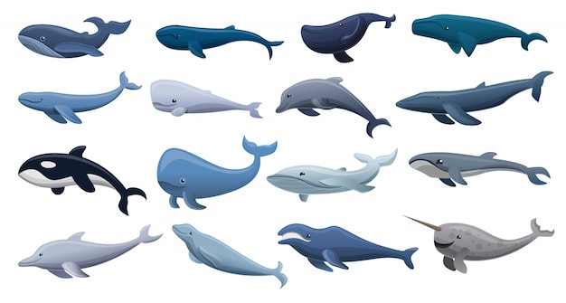 Walvis pictogrammenset, cartoon stijl