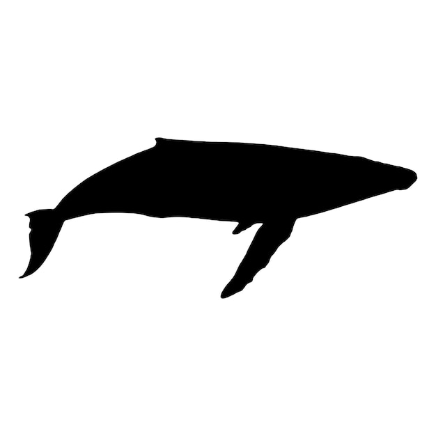 walvis silhouet vector zwarte kleur op witte achtergrond