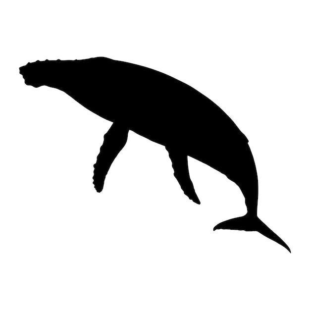 walvis silhouet vector zwarte kleur op witte achtergrond