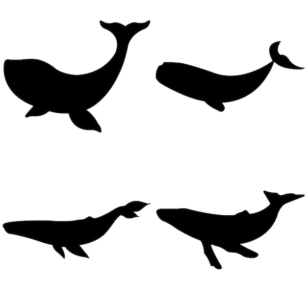 Walvis silhouet