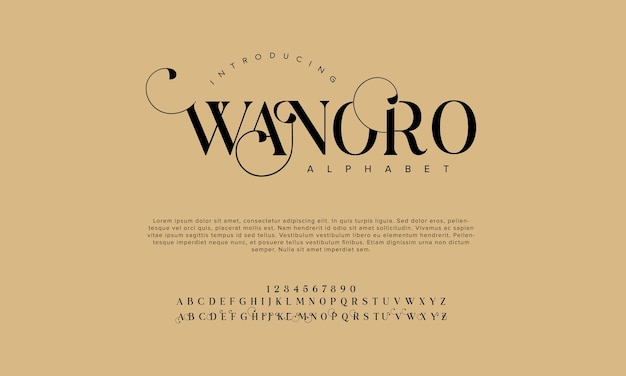 Vector wanoro premium luxury elegant alphabet letters and numbers vintage wedding typography classic serif