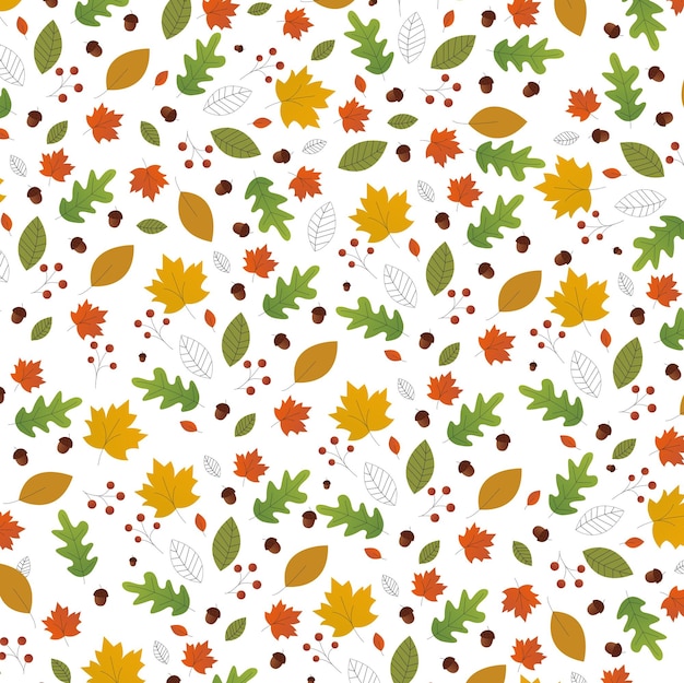 Vettore illustrazioni autunnali calde e colorate. foglie e bacche, ghiande e rami sottili