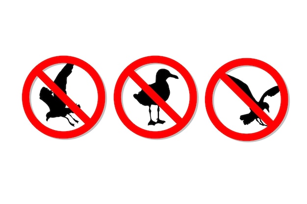 Warning sign no seagulls vector design