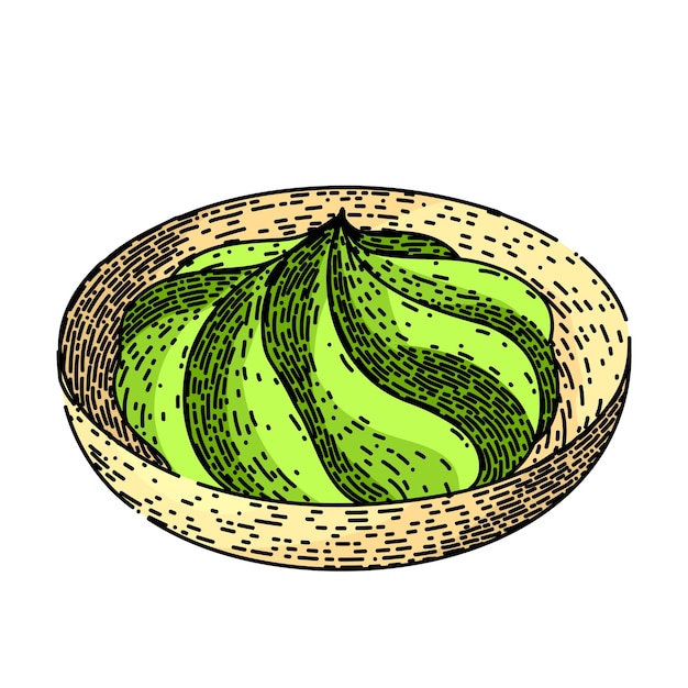 Wasabi green sketch hand drawn vector