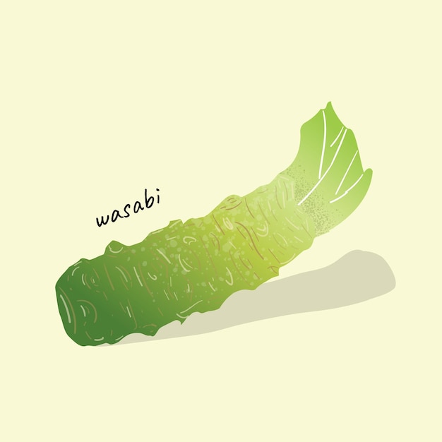 Иллюстрация васаби японский свежий зеленый цвет отделен от фона