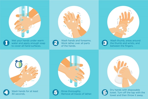 Wash hands step by step prevention infographic.