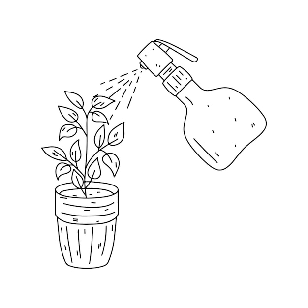 Мытье домашнего растения Ручной рисунок в стиле каракулей Векторная иллюстрация изолирована на белой странице раскраски