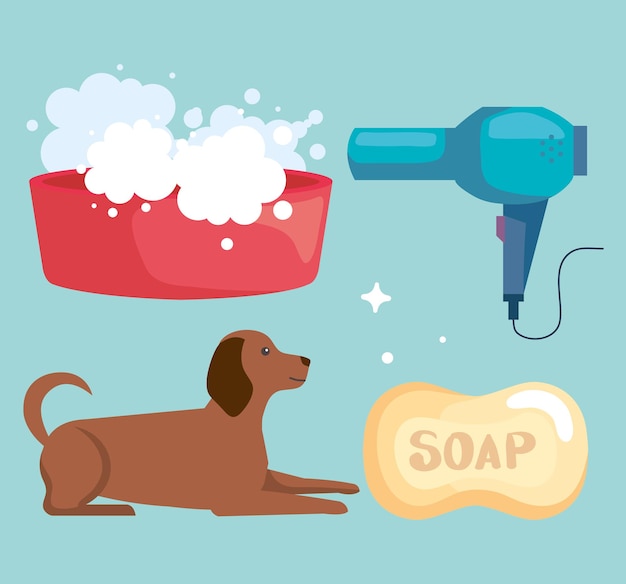 Washing pet icon collection