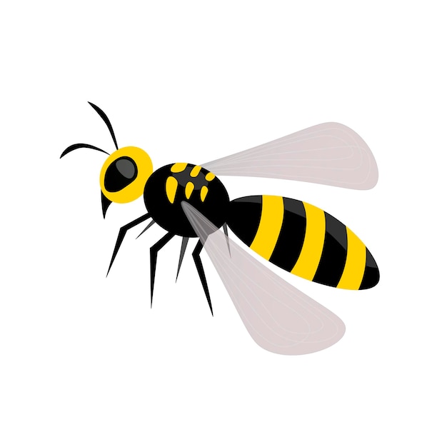 Wasp bee insect Illustration for printing backgrounds icon web mobil design wallpapers covers packaging posters stickers textile and seasonal design Isolated on white background