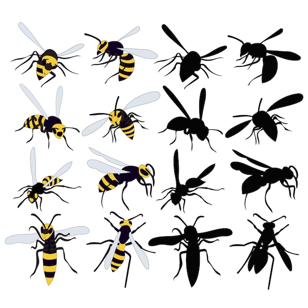 Wasp bee insect set collection