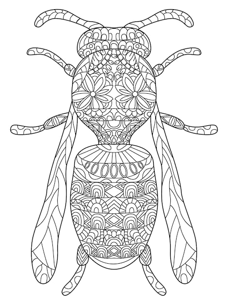 Wasp coloring vector for adults