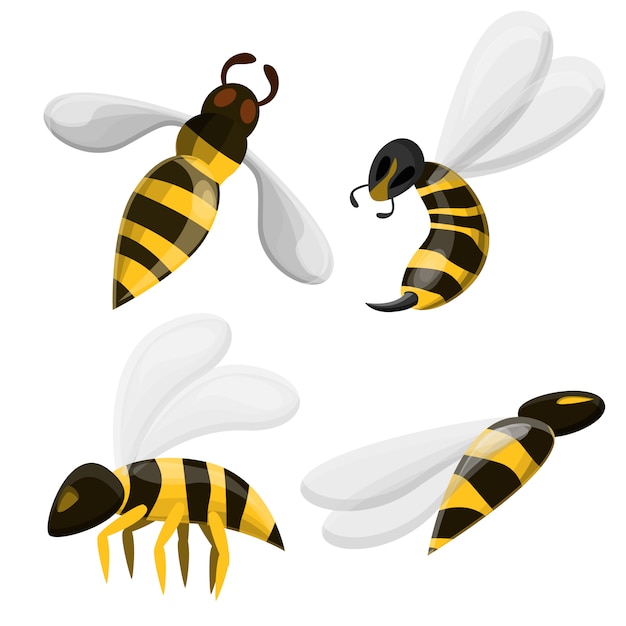 Wasp icons set, cartoon style