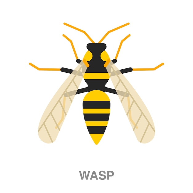 Wasp illustration on transparent background