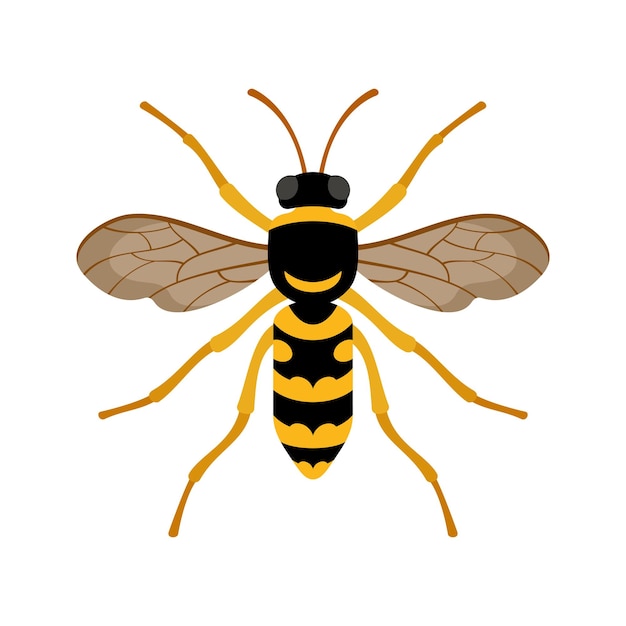 Wasp insect geïsoleerd op witte achtergrond vlakke stijl vector illustratie