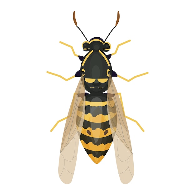 Wasp insect, hommel bovenaanzicht in cartoon-stijl, realistische bug geïsoleerde illustraties op wit