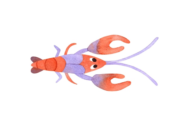 Watecolor cute crawfish isoleted on white background