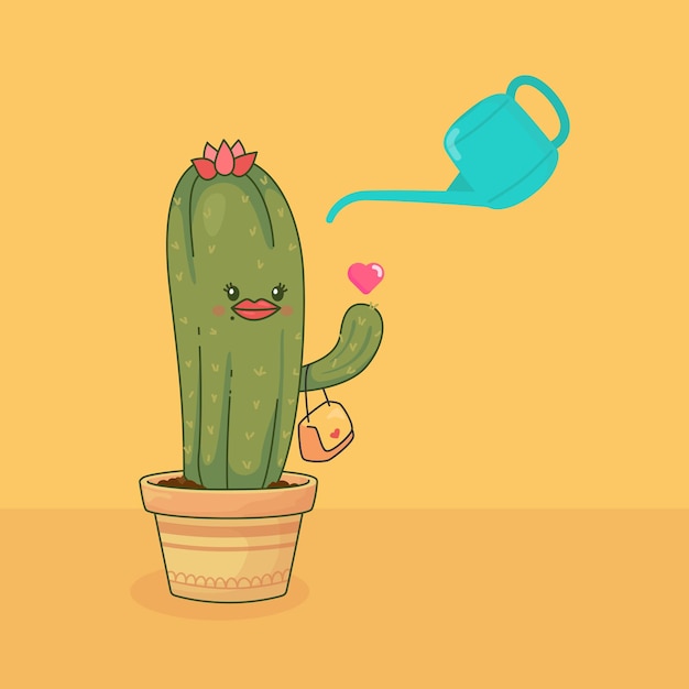 Water the cactus to grow in the room