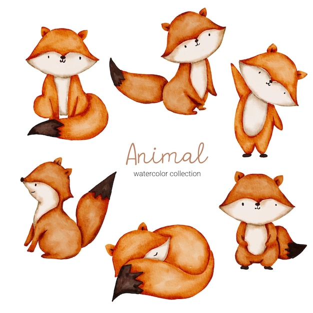 Set di cartoni animati a colori ad acqua per adesivi e avatar emoji di personaggi tropicali e forestali isolati su sfondo bianco. simpatici animali personaggio fox