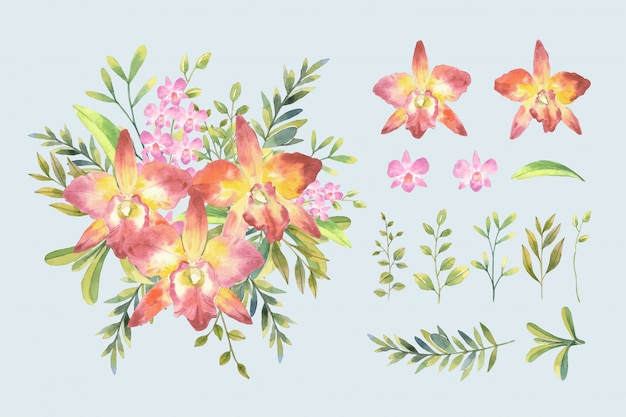 水の色のピンクの蘭と分離された配置と植物のスタイルで葉の花束とカトレア蘭セットイラスト。