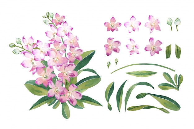 Vector water color pink orchids flower with leaf bouquet in botanical style with isolated arrangement set on   illustration  .