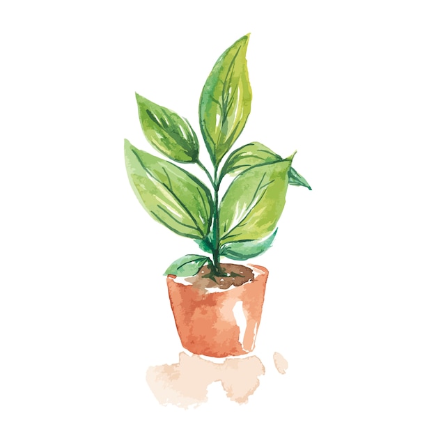 Water color of potted plants  on white.