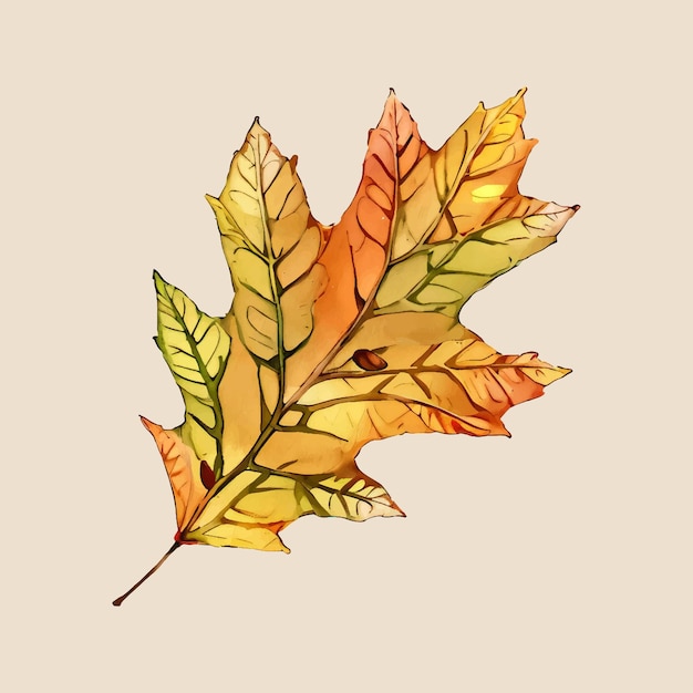 Vector water color vector autumn leaves