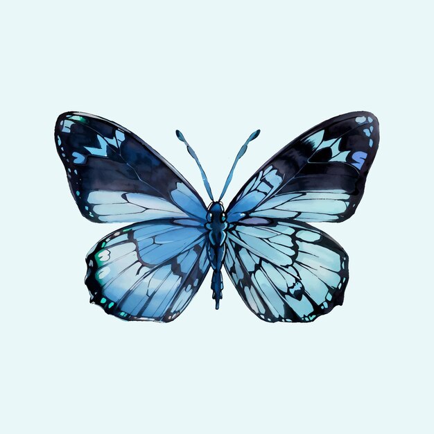 Water color vector blue Butterfly