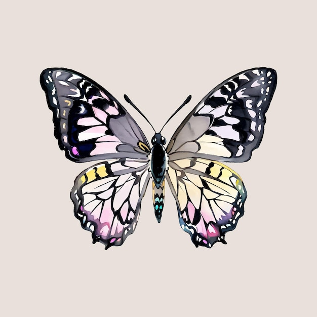 Vector water color vector butterfly insect