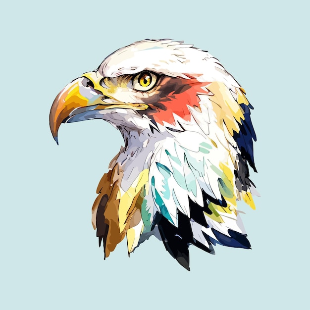 Water color vector Eagle Bird