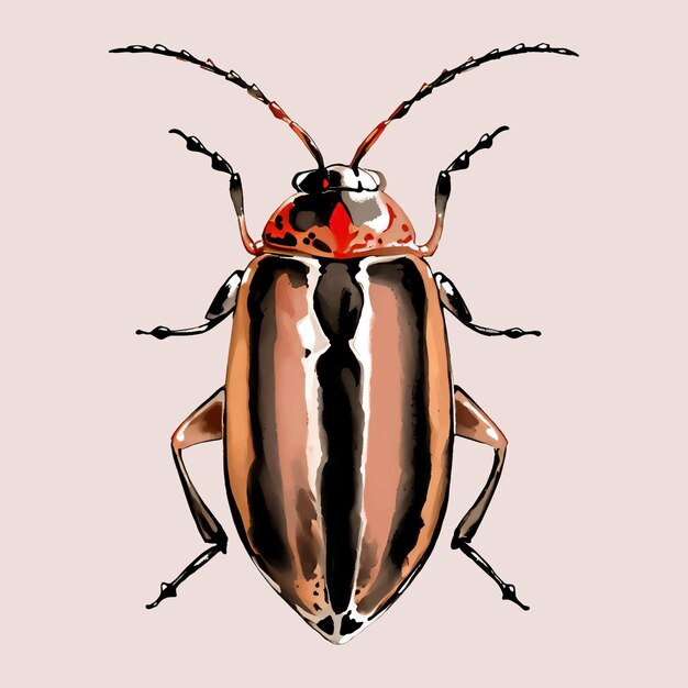 Vector water color vector insect