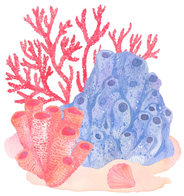 Under water. colorful corals. hand painting watercolor illustration. under ocean, wildlife.