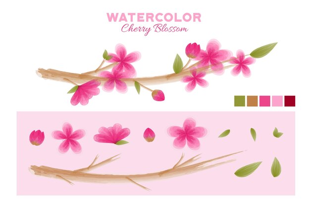 水彩樱桃花套件 水彩樱花套件