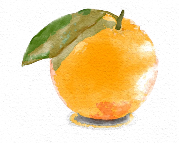 Water Colour Orange Fruit