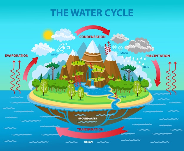 Vector the water cycle.  cartoon illustration.