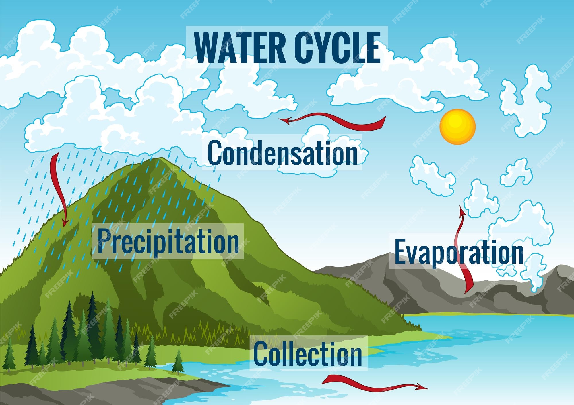 Premium Vector Water cycle diagram Earth hydrologic process