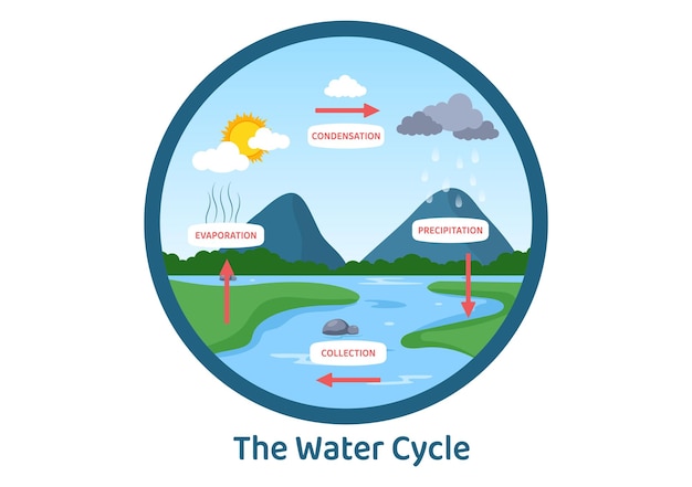 ベクトル 地球の自然環境における水循環フラット漫画イラスト