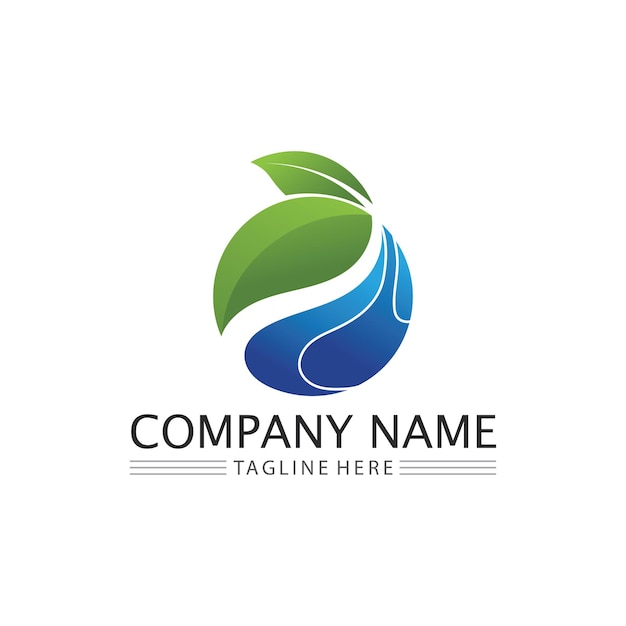 Water drop Logo Template vector illustration design