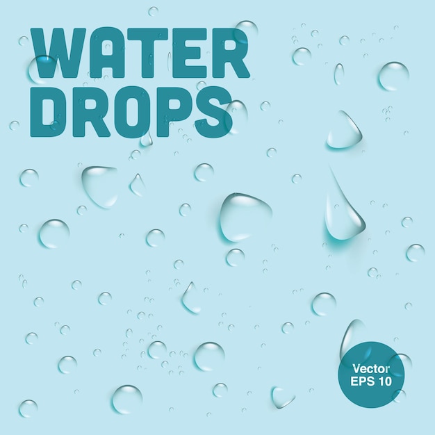 water drops background vector illustration