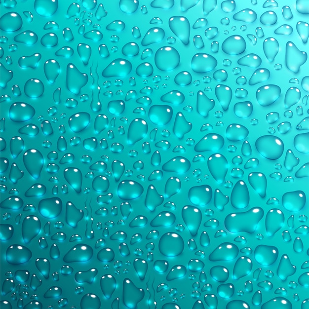 Vector water drops on blue background