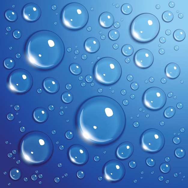 Vector water drops on blue