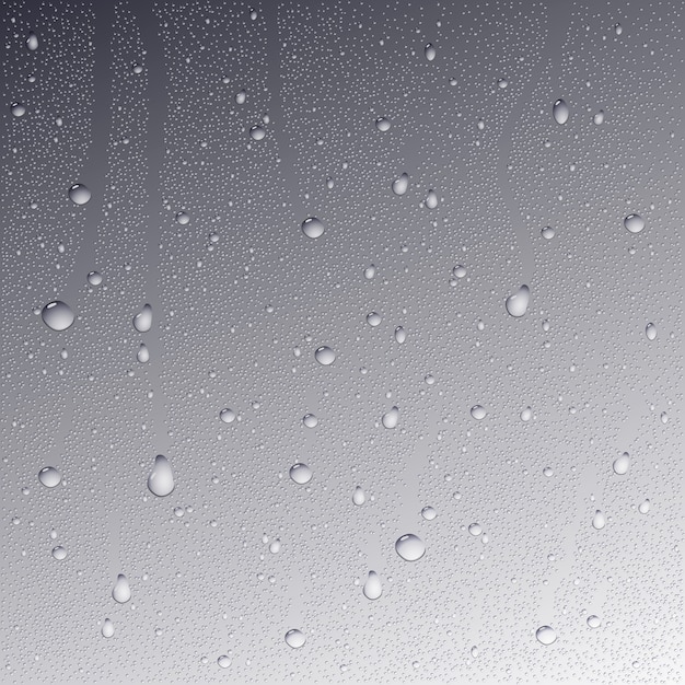 Vector water drops on glass background.