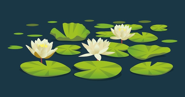 Water lilies. Vector cartoon illustration