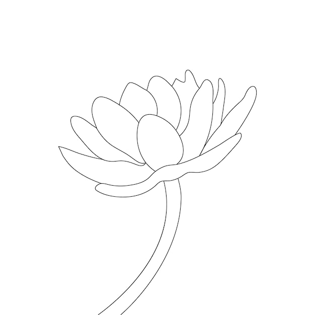 Water lily coloring page and line art flower sketch with flower vector illustration