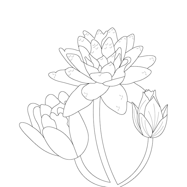 スイレンぬりえページと花のベクトル イラスト ライン アート花スケッチ