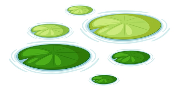 Vector water lily pads vector