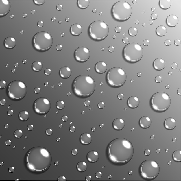 Vector water rain drop on grayscale background