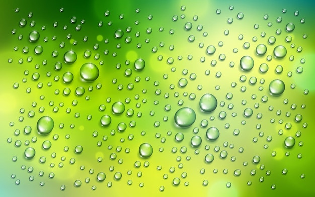 Vector water rain drops or condensation over blurred green nature background beyond the window, realistic transparent 3d vector illustration, easy to put over any background.