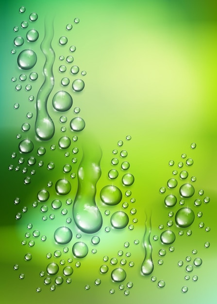 Vector water rain drops or condensation over blurred green nature background beyond the window, realistic transparent 3d vector illustration, easy to put over any background.